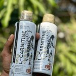 الکارنتین گلد برند کوین لورون طرح جدید