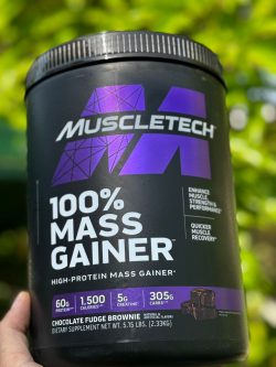 مس ماسل تک طرح 2021 - تصویر 2