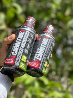 الکارنتین شرکت پروساپس - تصویر 1