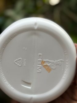 پروتئین وی برند رایس آمریکا - تصویر 2