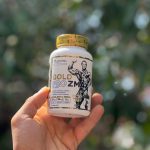 ZMA پرو  طرح جدید برند کوین لورون