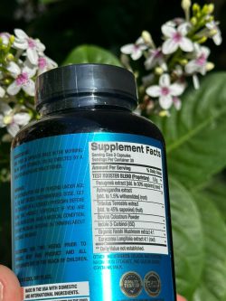 تست بوستر برند بی پی آی - تصویر 2