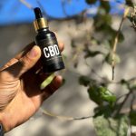 سی بی دی oil برند نانوکرافت