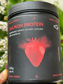 سالمون پروتئین برند آمتا پاور - تصویر 2