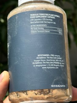 کپسول Tribulus مای پروتئین - تصویر 3