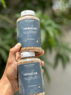 IMG-20230614-WA0056 کپسول Tribulus مای پروتئین - تصویر 1