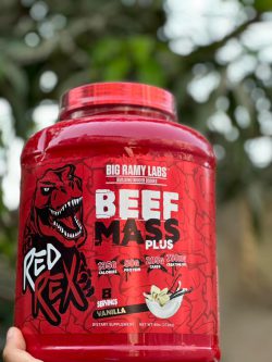 IMG-20230911-WA0005 گینر برند بیگ رَمی لَبز - تصویر 1