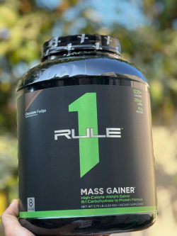 IMG-20231031-WA0007 گینر برند رول وان - تصویر 1