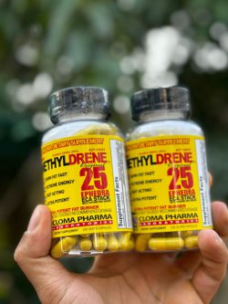 IMG-20231204-WA0093 چربی سوز مِتیل درین - تصویر 1