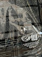 مس لجندری برند کوین لورون - تصویر 2