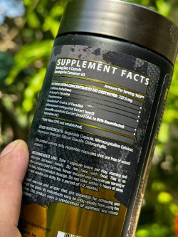 لیپو6 طرح 2024 برند نوترکس - تصویر 2