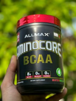 آمینو bcaa برند آلمکس - تصویر 1