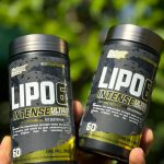 لیپو6 طرح 2024 برند نوترکس