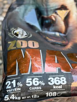 گینر طرح‌ جدید ۲۰۲۴ برند زومدلب - تصویر 2