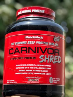 IMG-20250811-WA0111 پروتئین ایزوله بیف رژیمی برند ماسل میدس - تصویر 1