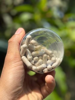 کوکونات کولاژن - تصویر 4